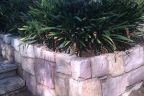 garden with stone retaining wall